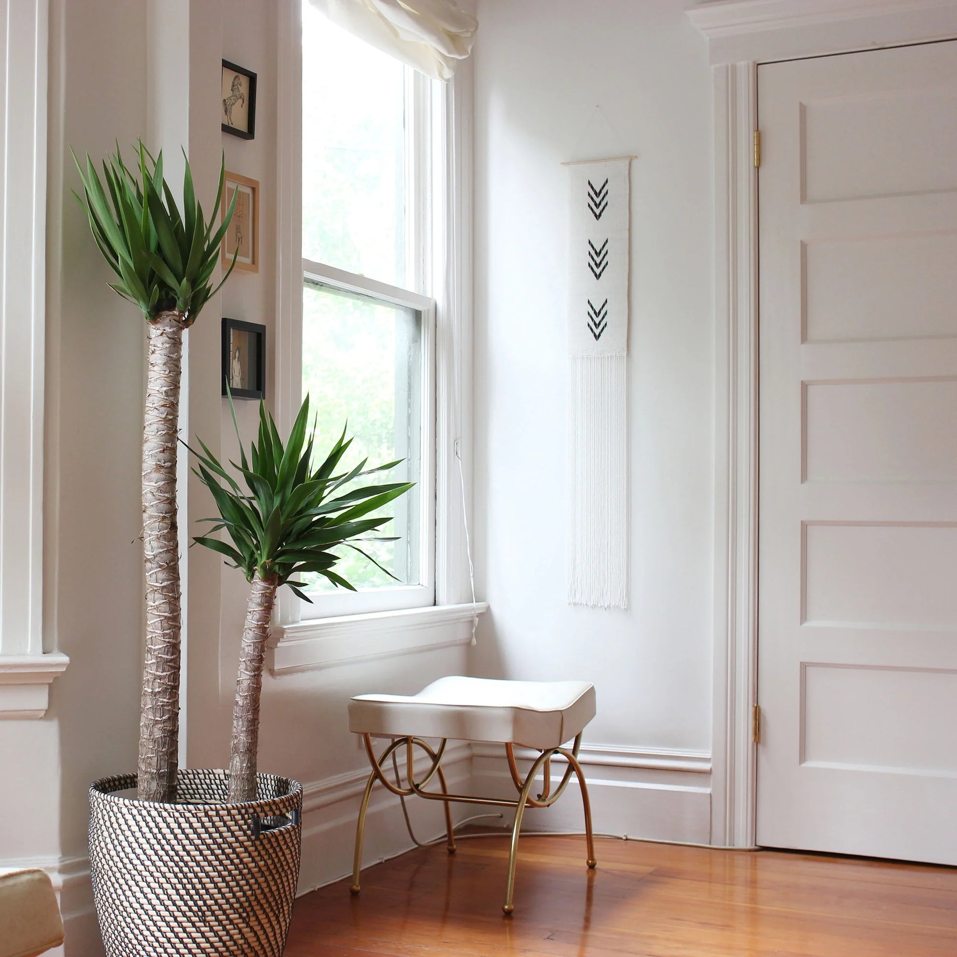 black and white modern wall art